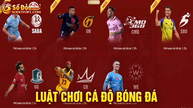 Luật chơi cá độ bóng đá