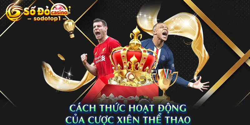 Cách Thức Hoạt Động Của Cược Xiên Thể Thao