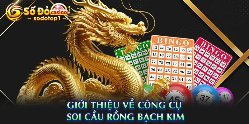Giới thiệu về công cụ soi cầu rồng bạch kim