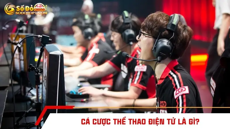 Cá cược thể thao điện tử là gì?