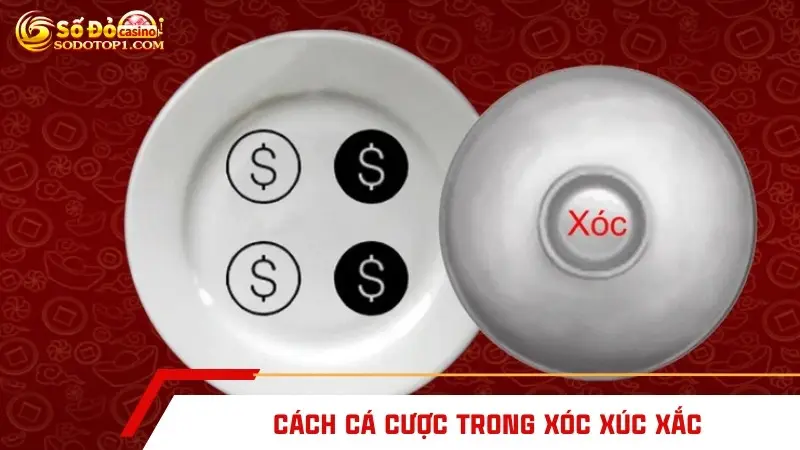 Cách cá cược trong xóc xúc xắc