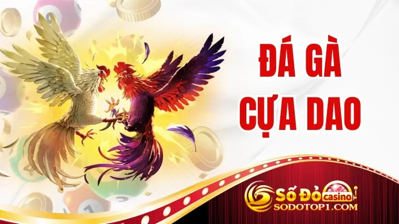 Đá Gà Cựa Dao