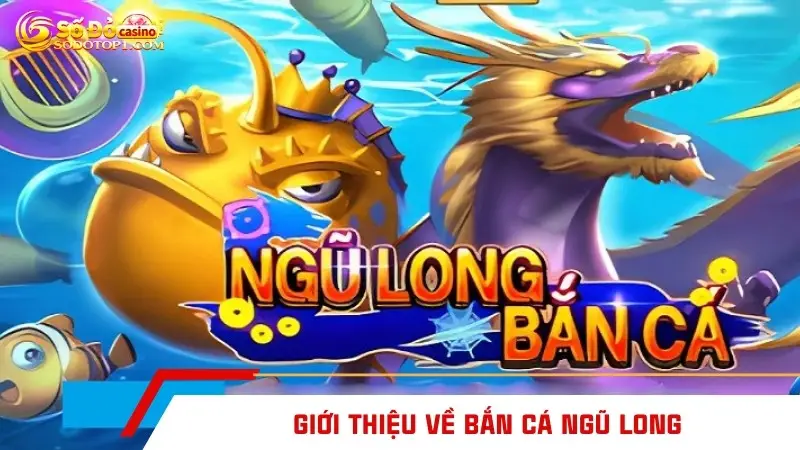 Giới thiệu về bắn cá ngũ long