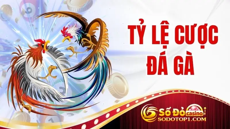 Tỷ Lệ Cược Đá Gà