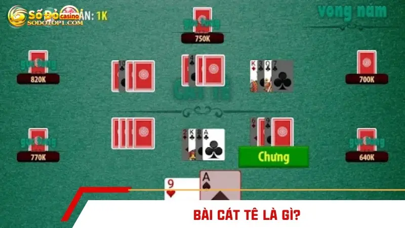Bài cát tê là gì?