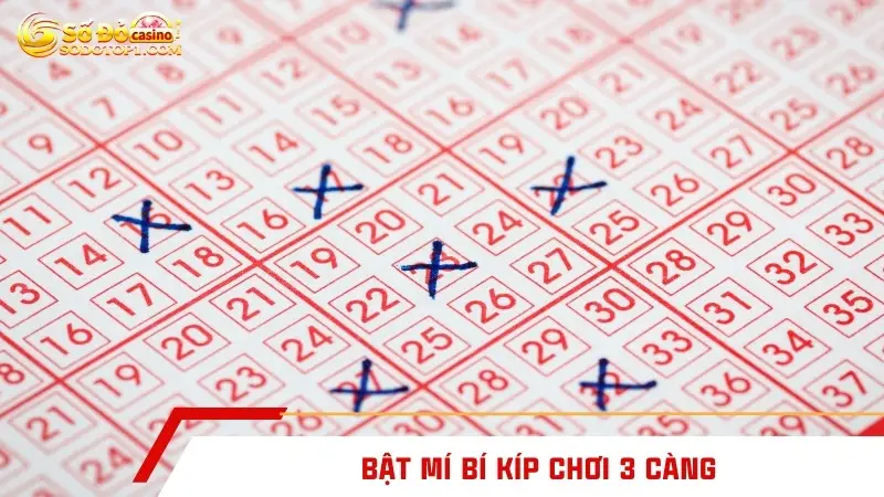 Bật mí bí kíp chơi 3 càng
