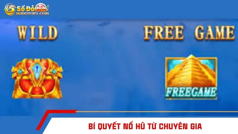Bí quyết nổ hũ từ chuyên gia