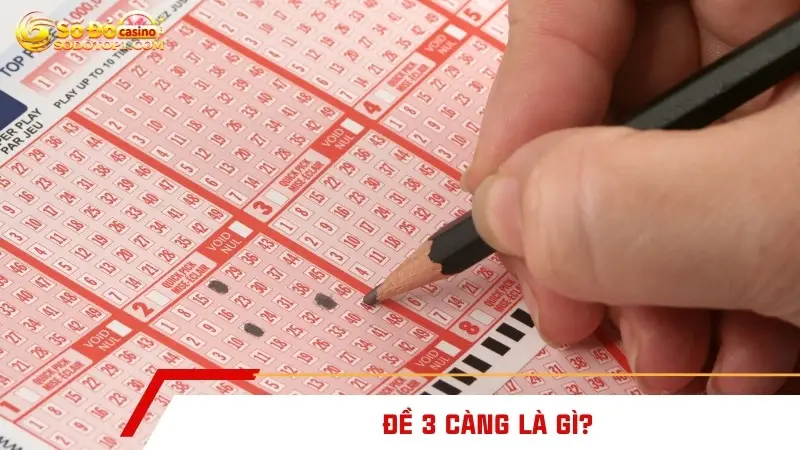 Đề 3 càng là gì?