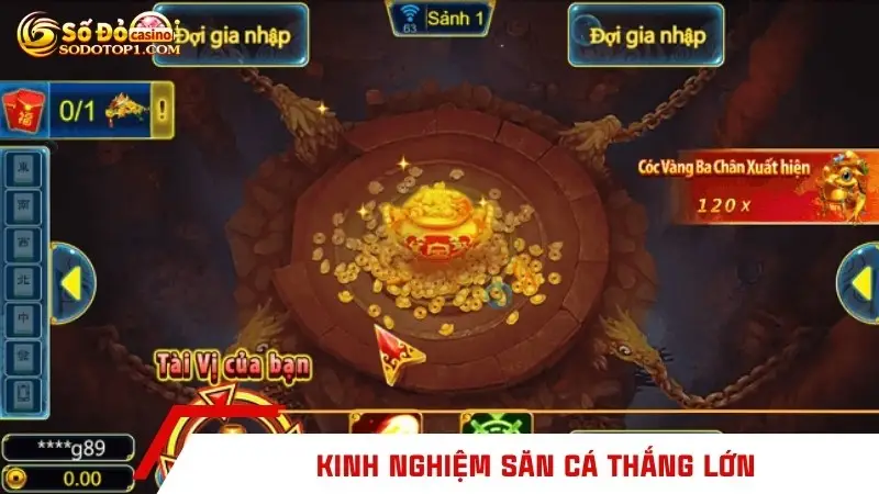 Kinh nghiệm săn cá thắng lớn
