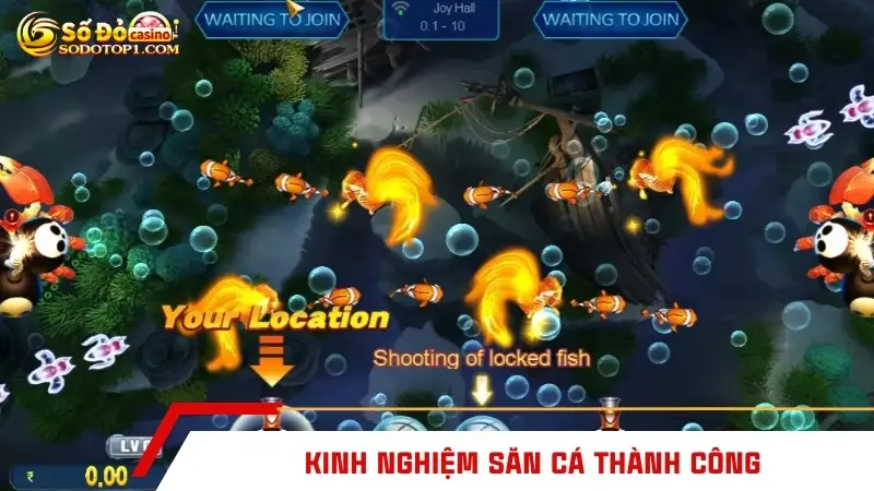 Kinh nghiệm săn cá thành công