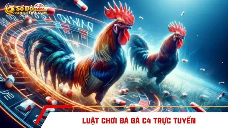 Luật chơi đá gà C4 trực tuyến