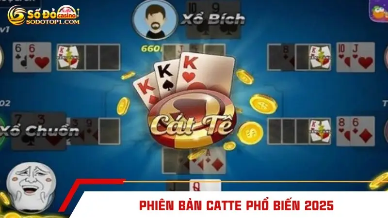 Phiên bản Catte phổ biến 2025