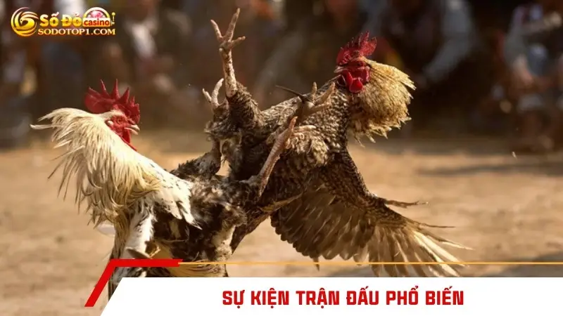 Sự kiện trận đấu phổ biến