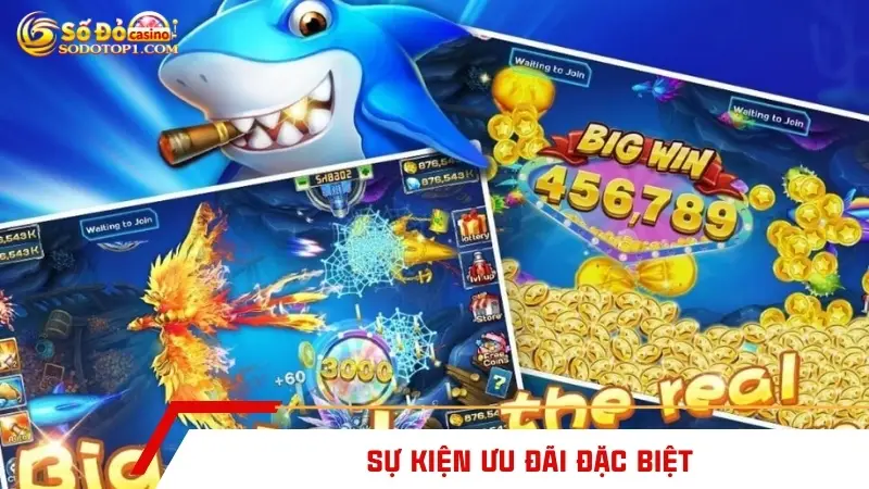 Sự kiện ưu đãi đặc biệt