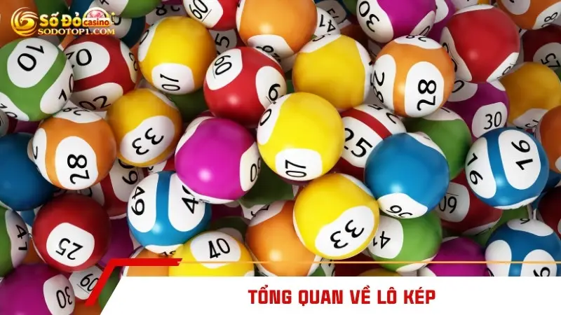 Tổng quan về lô kép