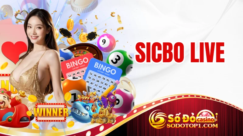Cách Chơi Sicbo Live Tại Sodo Giúp Thắng Lớn Dễ Dàng